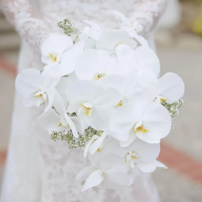 Poppy Flowers: Toss Bouquet - Wedding Flower Arrangements