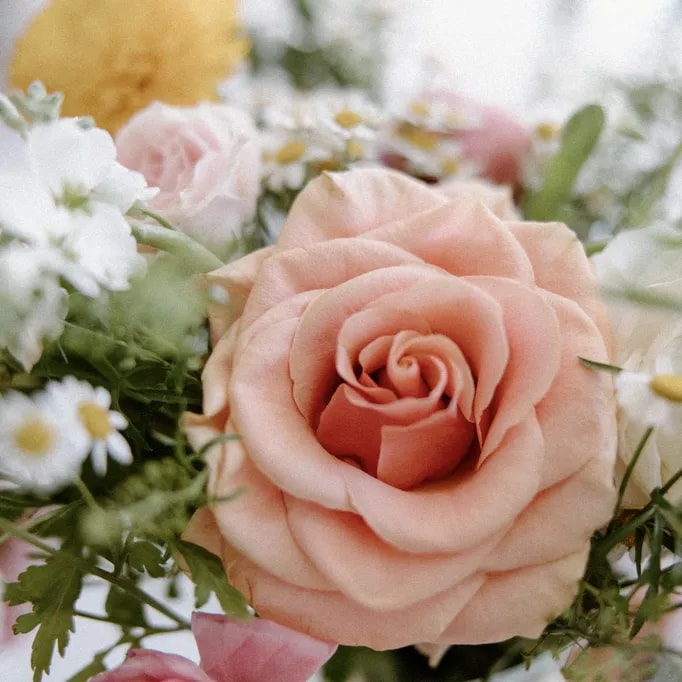 Poppy: Most Popular Wedding Flowers - Roses