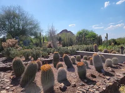 Phoenix, AZ - Desert Botanical Garden