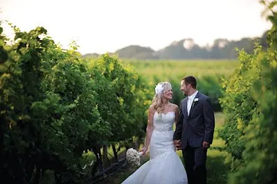 Hartford & New Haven - The Vineyards at Aquebogue