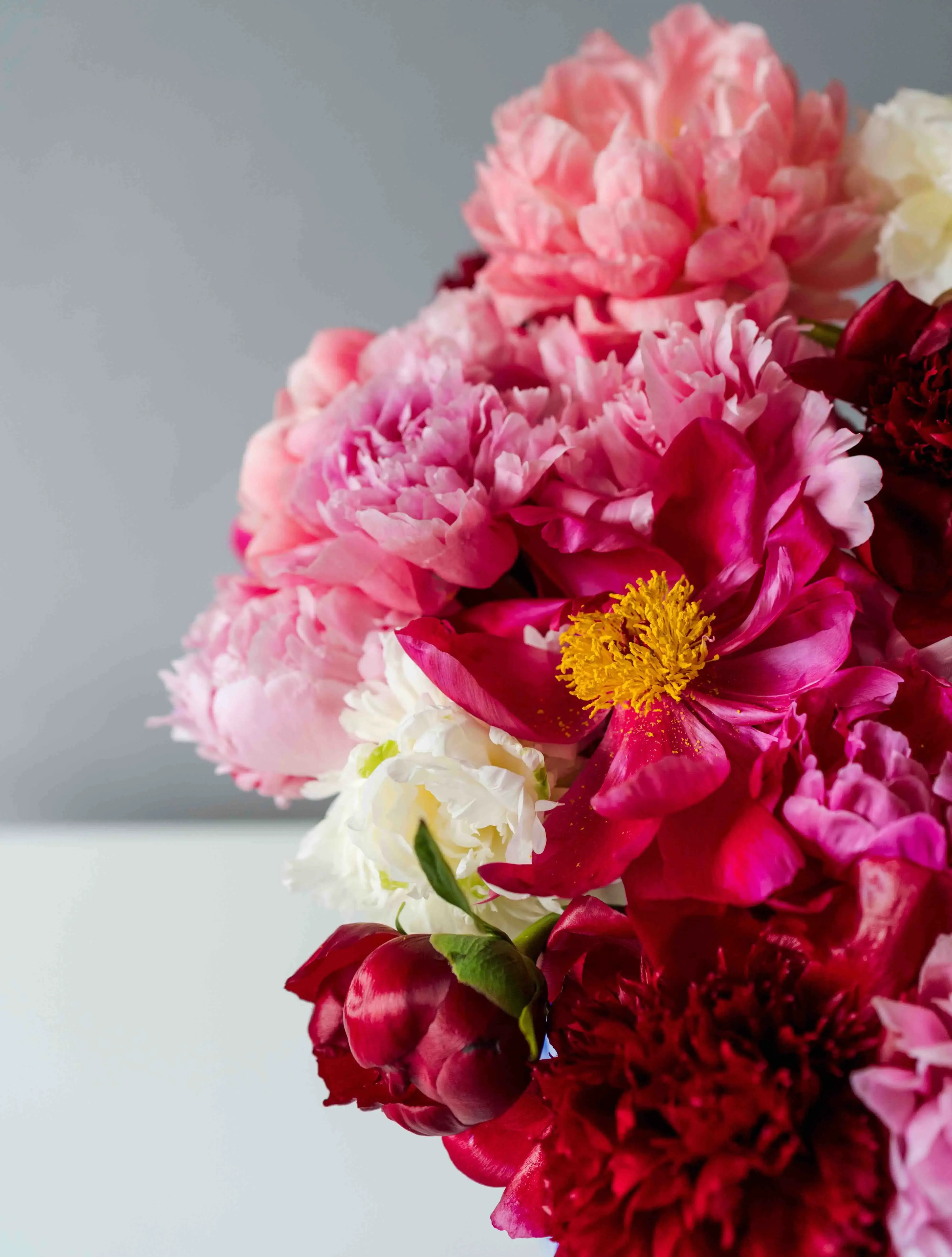 Watermelon Sugar Peonies