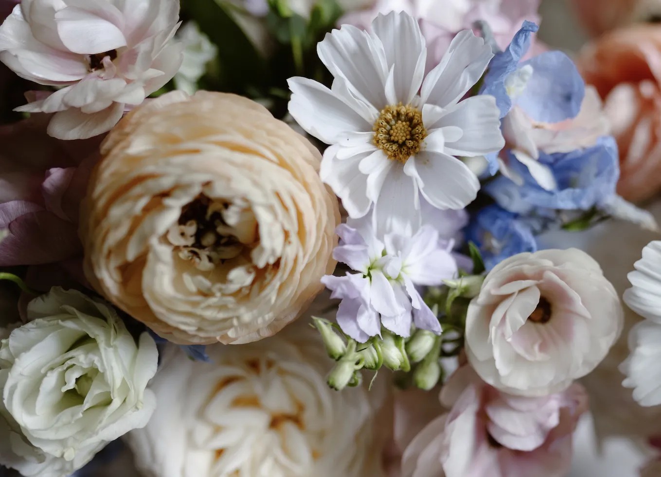 10 Spring Wedding Flowers for Every Budget That Wow