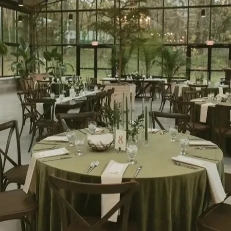 Robellini palm used to create a lush greenery backdrop for wedding